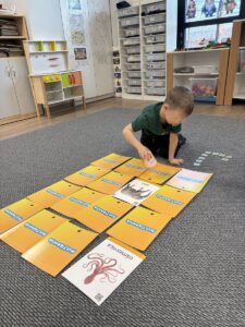 Stumilowy - kodowanie na dywanie 1a